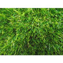 Said kültéri műfű szőnyeg 4m széles