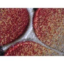 Graciella Fehér Narancs Nyírt Futó Szőnyeg 80 x 300 cm