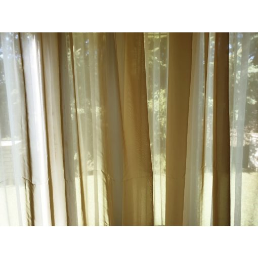 Alinka Bézs Organza Függöny  300 x 250 cm