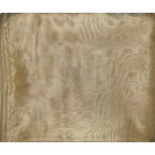 Alinka Bézs Organza Függöny  300 x 250 cm