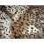 Magola Leopárd mintás Bézs Fekete Pléd Ágytakaró  200 x 240 cm