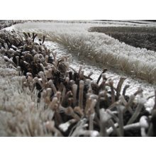 Armand barna szürke exkluzív shaggy szőnyeg 125 x 200 cm