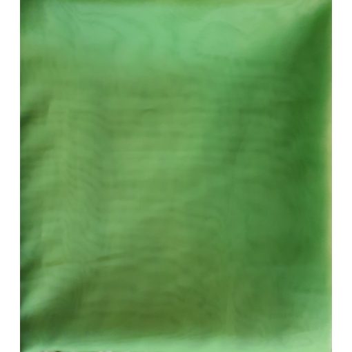 Julilla Zöld Organza Függöny 250 x 300 cm