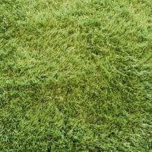 Cizek zöld shaggy futószőnyeg 80x300 cm prémium