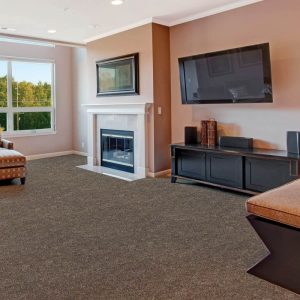 Esztella barna padlószőnyeg 5 m széles