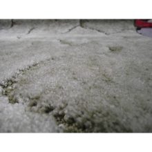 Enri Zöld  padlószőnyeg 4 m széles