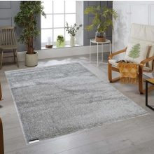 Lojze modern puha szürke szőnyeg 200x300 cm