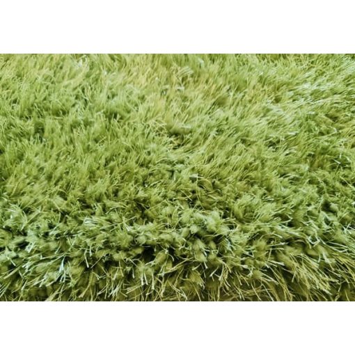 Ludwig modern shaggy szőnyeg 250 x 350 cm zöld