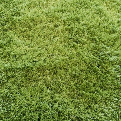 Paradise zöld shaggy szőnyeg 125 x 200 cm