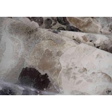 Waltos elegáns modern szőnyeg 240 x 340 cm barna bézs